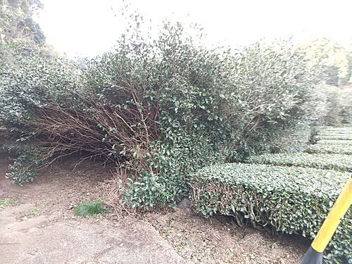 静岡県静岡市葵区内牧 土地