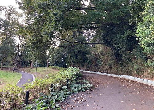 東京都町田市小野路町 土地