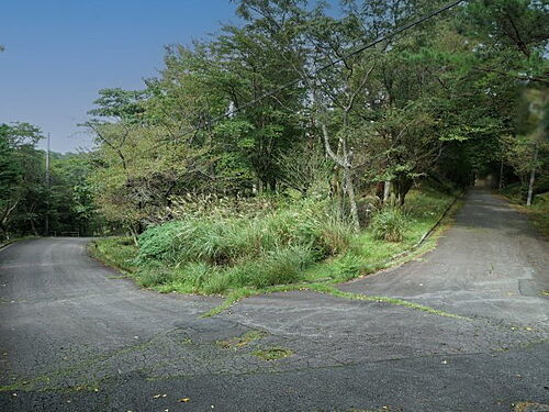 静岡県伊豆市冷川 土地