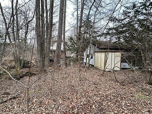 群馬県吾妻郡嬬恋村大字大前 土地