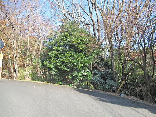静岡県賀茂郡東伊豆町奈良本 土地