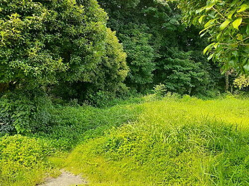 熊本県熊本市北区打越町 土地