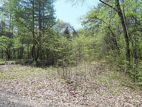群馬県吾妻郡嬬恋村大字鎌原 土地