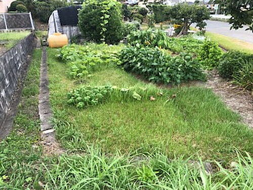 静岡県周智郡森町円田 土地