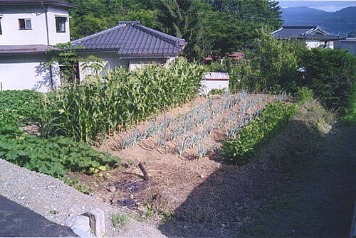 長野県岡谷市山下町２丁目 土地