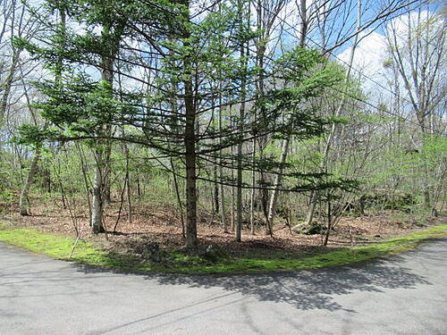 群馬県吾妻郡嬬恋村大字鎌原 土地