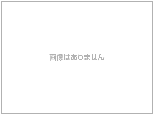 ブランズ豊平学園前　先着順