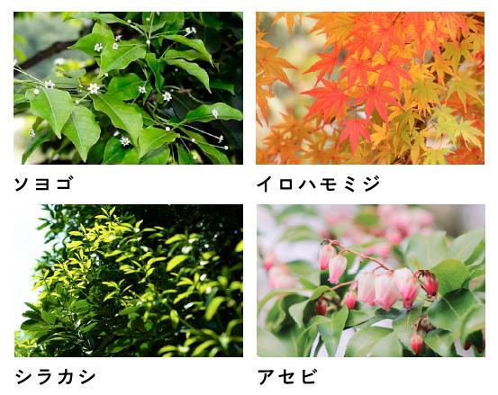 建物・設備