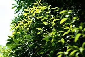 建物・設備