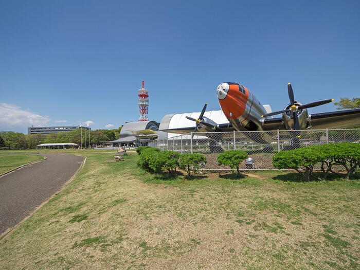 公園