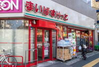 千歳台1(祖師ヶ谷大蔵駅) 販売価格未定/予告広告