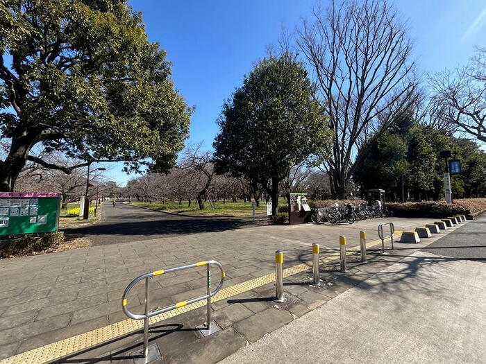 公園