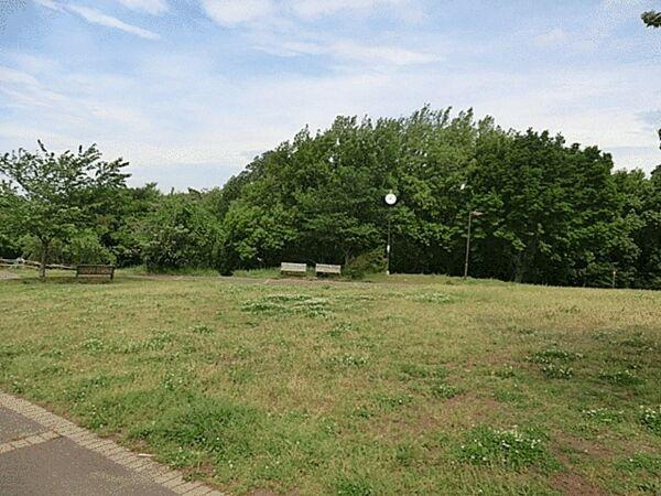 公園