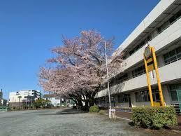 小学校