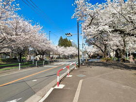 参考プラン・間取図ございます！ぜひご見学されてみませんか？【小平市喜平町1丁目】