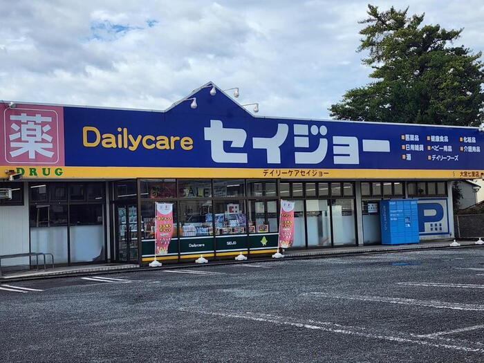 ドラッグストア