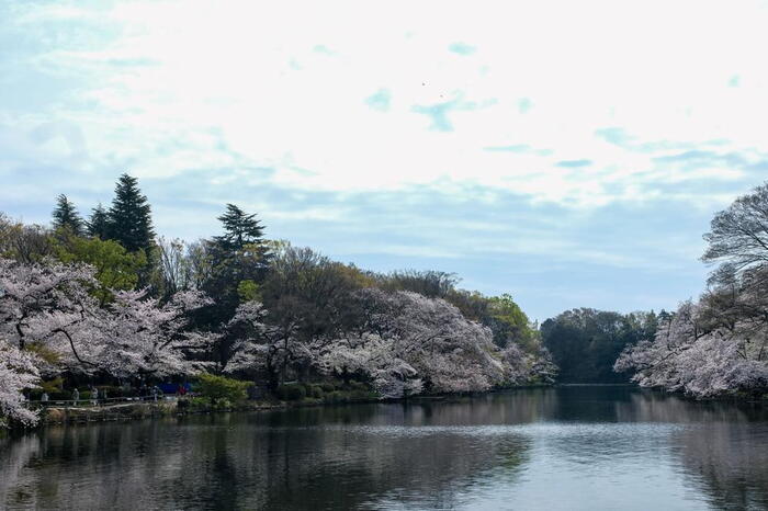 公園