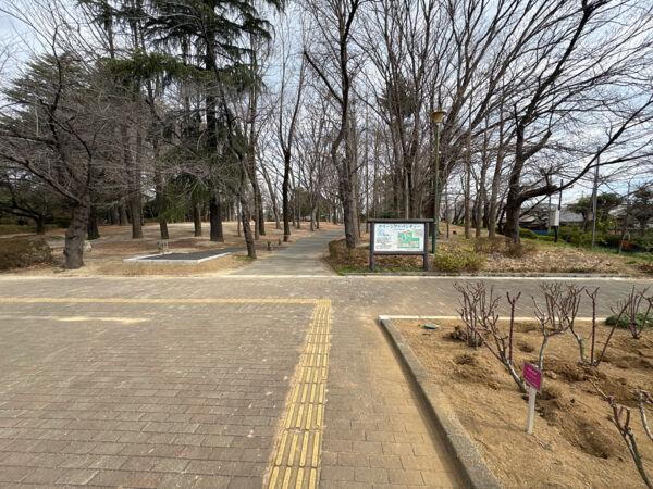 公園