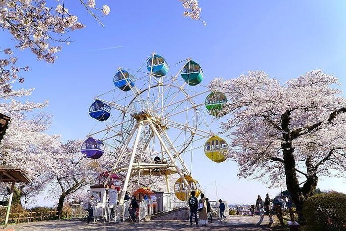 公園