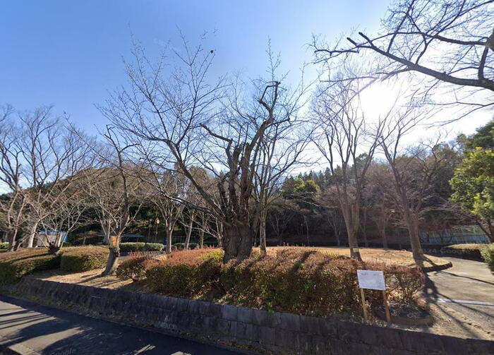 公園