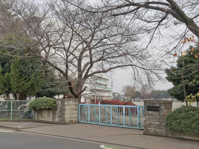 小学校