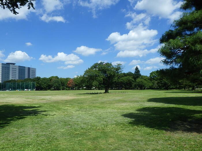 公園