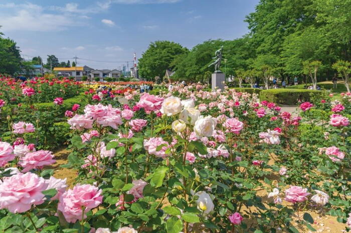 公園