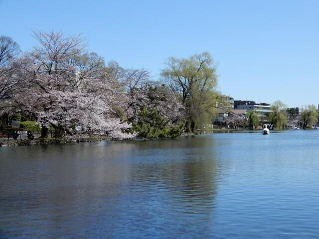 公園