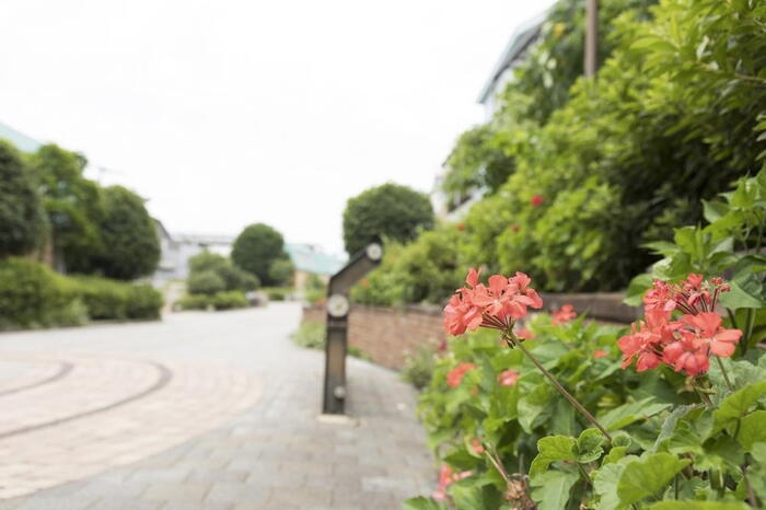 公園