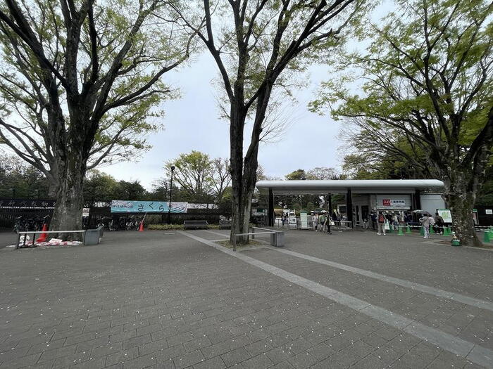 公園