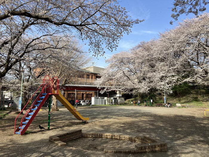 公園