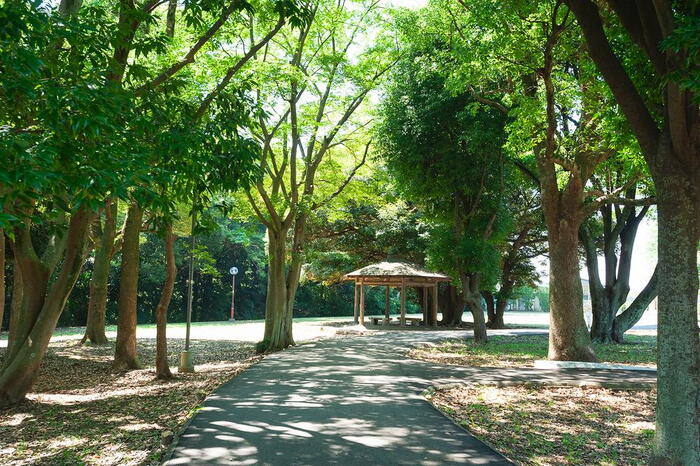 公園