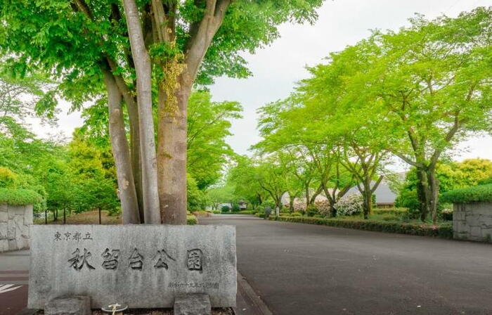 公園
