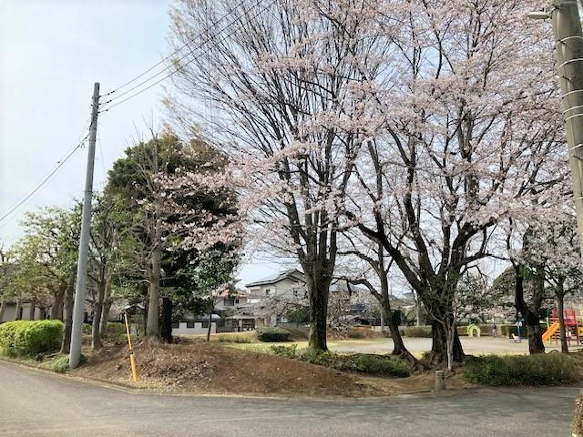 公園