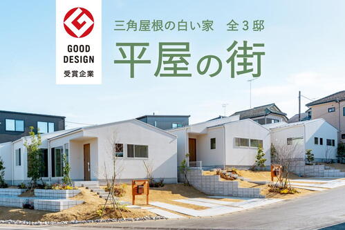 【81坪の平屋 ご見学可】4/26更新！公園目の前！skipの小上がり空間付き！おしゃれな白い平屋【モリニアル誉田】全3邸