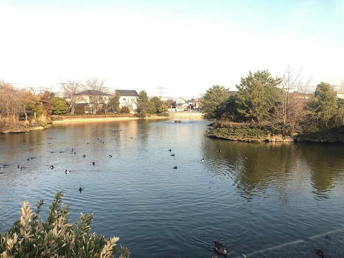公園