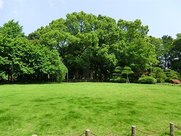 公園