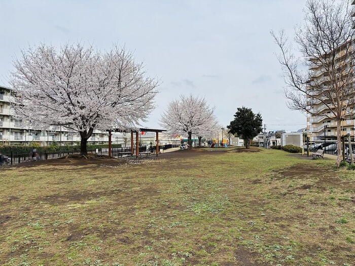 公園