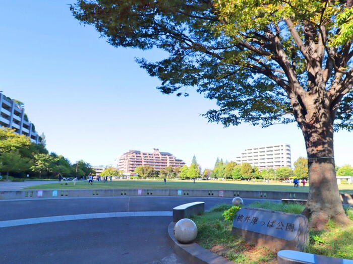 公園