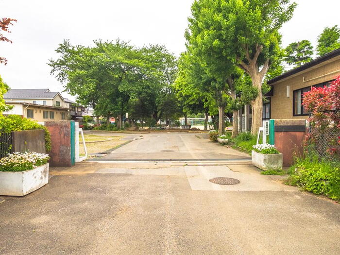 小学校