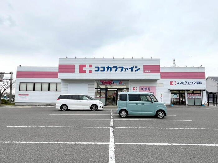 ドラッグストア