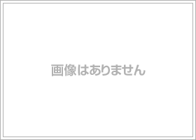 名鉄犬山線「中小田井」駅徒歩6分の地に誕生する全24邸／外観完成予想図