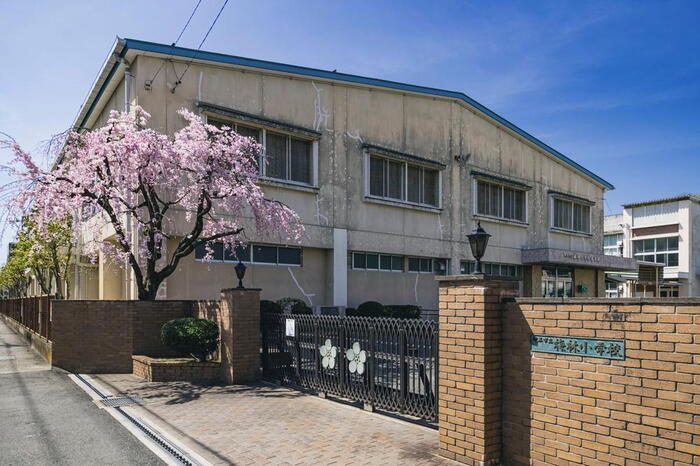 小学校