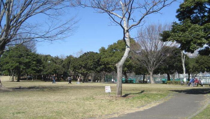 公園