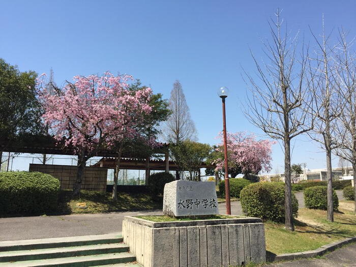 中学校