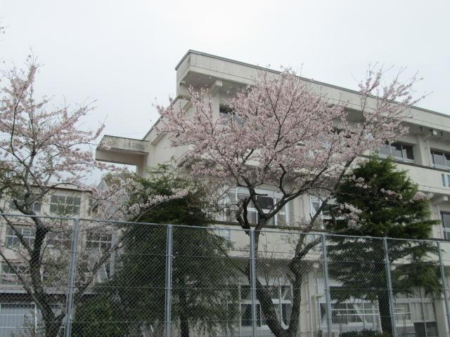 中学校