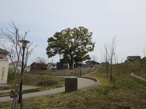 公園