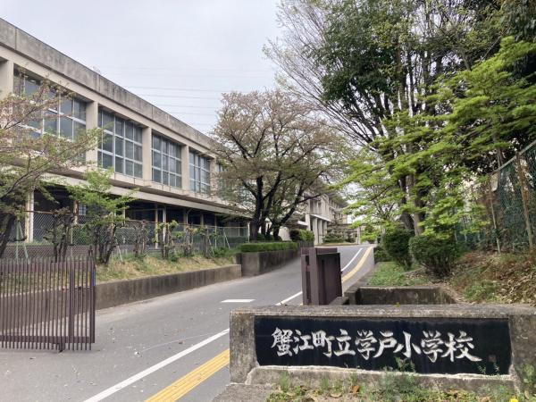 小学校