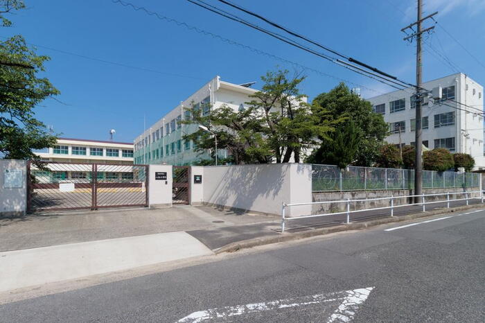 小学校