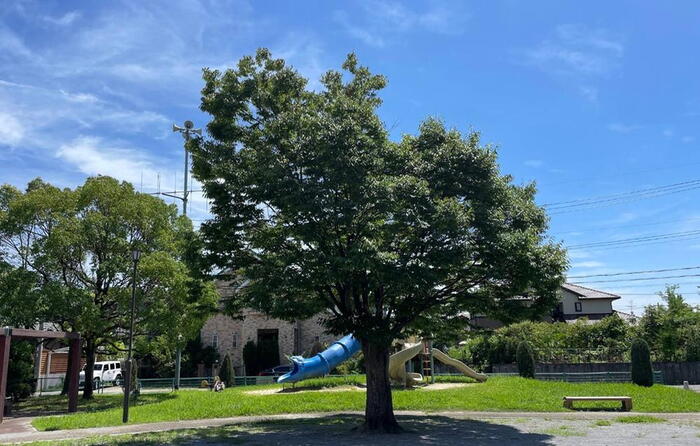公園